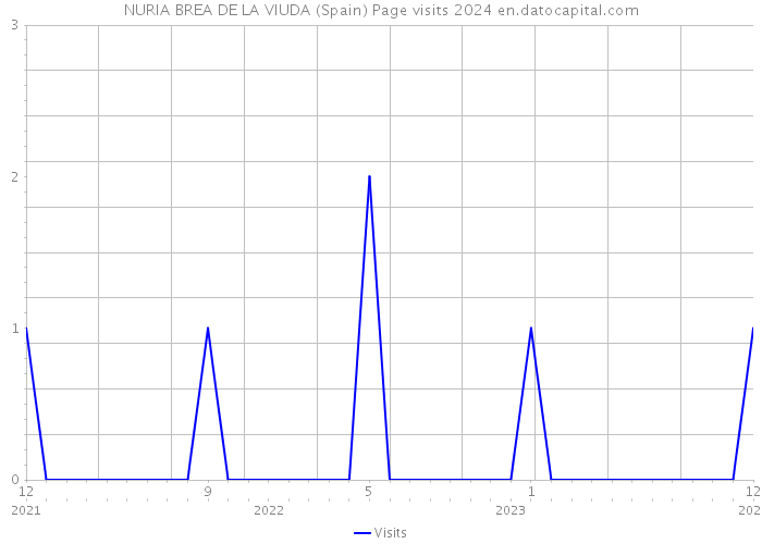 NURIA BREA DE LA VIUDA (Spain) Page visits 2024 