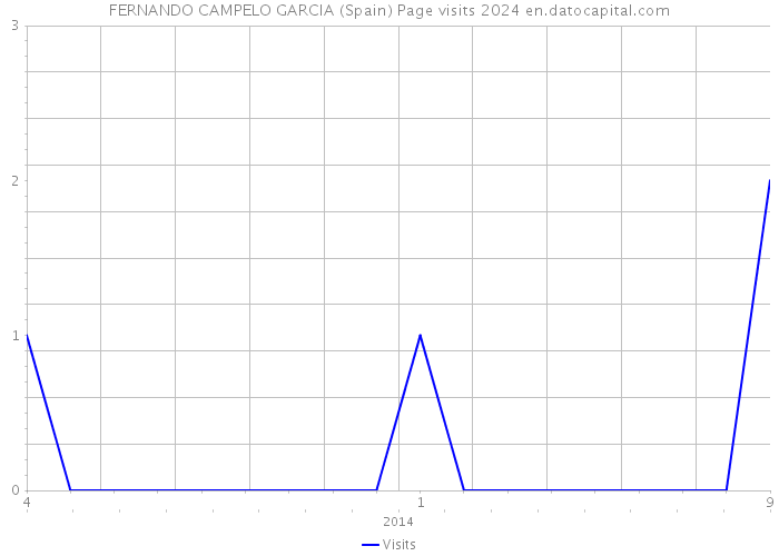 FERNANDO CAMPELO GARCIA (Spain) Page visits 2024 