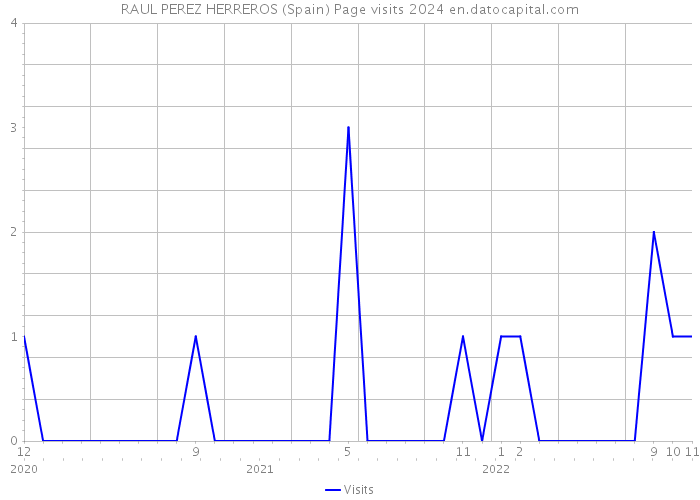 RAUL PEREZ HERREROS (Spain) Page visits 2024 