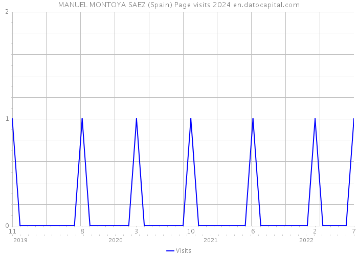 MANUEL MONTOYA SAEZ (Spain) Page visits 2024 