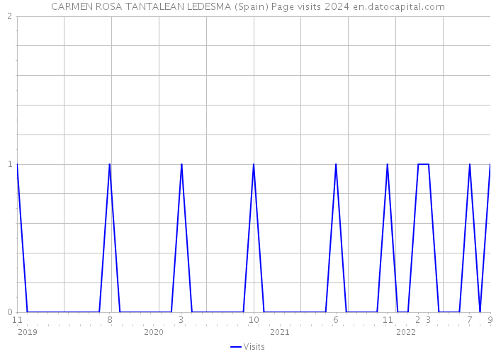 CARMEN ROSA TANTALEAN LEDESMA (Spain) Page visits 2024 