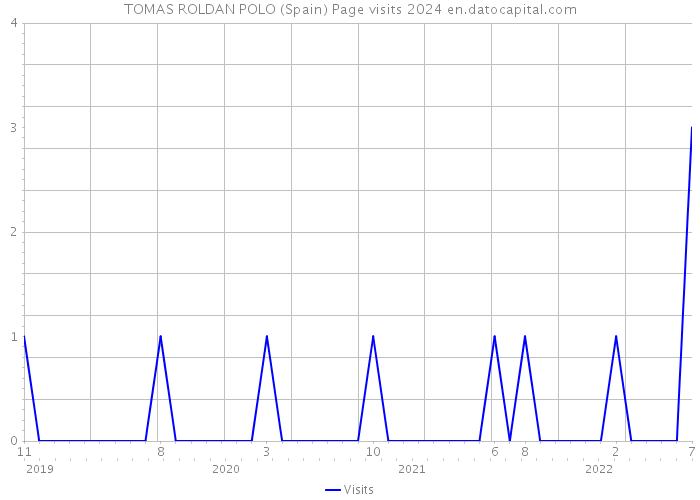 TOMAS ROLDAN POLO (Spain) Page visits 2024 