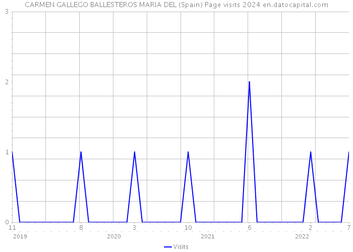CARMEN GALLEGO BALLESTEROS MARIA DEL (Spain) Page visits 2024 