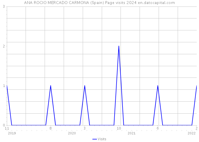 ANA ROCIO MERCADO CARMONA (Spain) Page visits 2024 