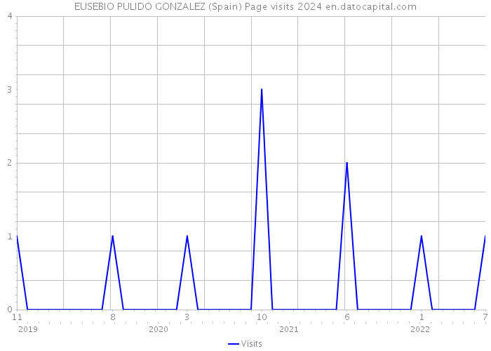 EUSEBIO PULIDO GONZALEZ (Spain) Page visits 2024 
