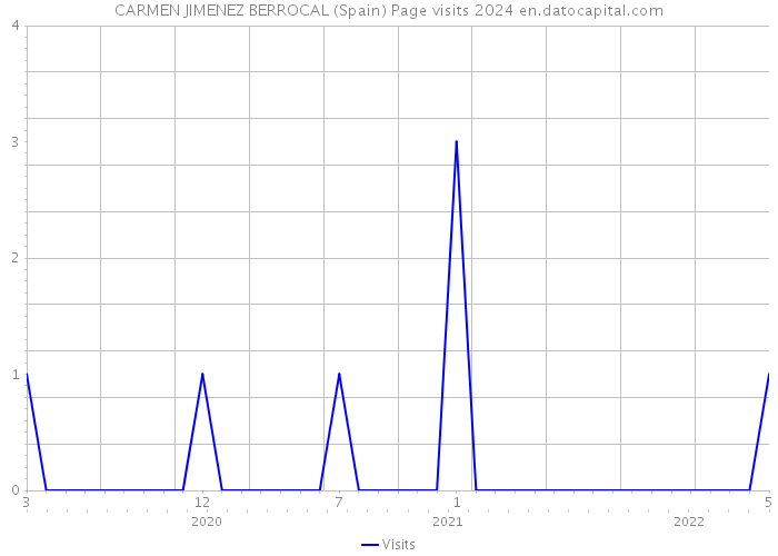 CARMEN JIMENEZ BERROCAL (Spain) Page visits 2024 