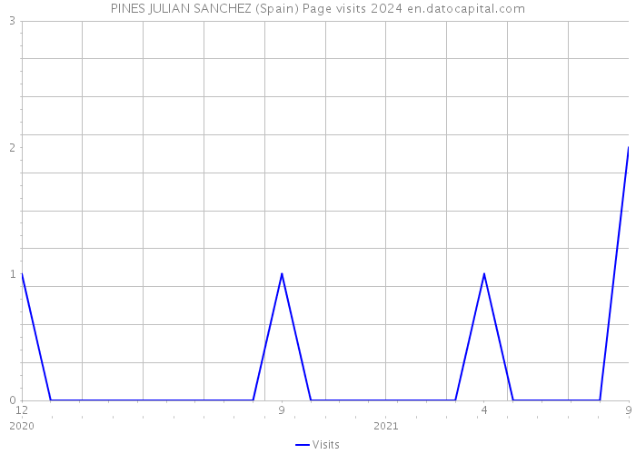 PINES JULIAN SANCHEZ (Spain) Page visits 2024 