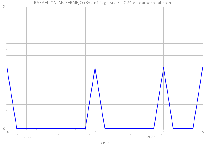 RAFAEL GALAN BERMEJO (Spain) Page visits 2024 