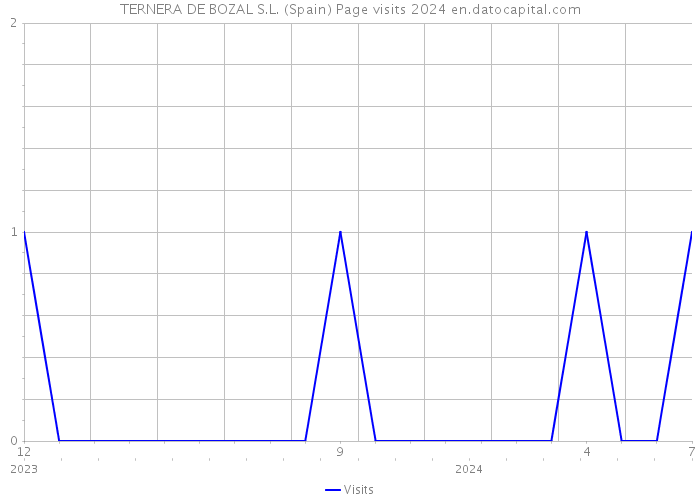 TERNERA DE BOZAL S.L. (Spain) Page visits 2024 