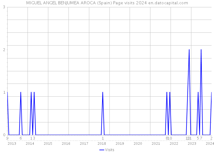 MIGUEL ANGEL BENJUMEA AROCA (Spain) Page visits 2024 