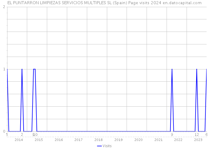 EL PUNTARRON LIMPIEZAS SERVICIOS MULTIPLES SL (Spain) Page visits 2024 