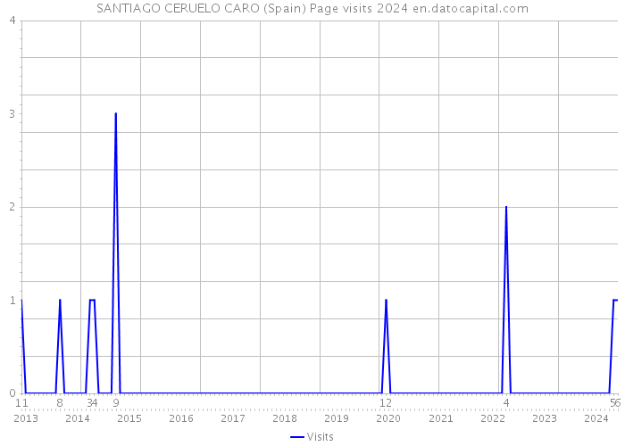 SANTIAGO CERUELO CARO (Spain) Page visits 2024 