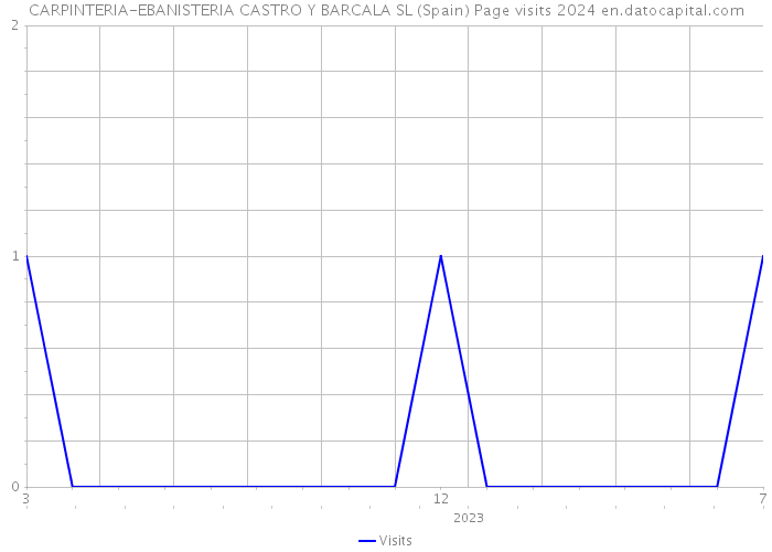 CARPINTERIA-EBANISTERIA CASTRO Y BARCALA SL (Spain) Page visits 2024 