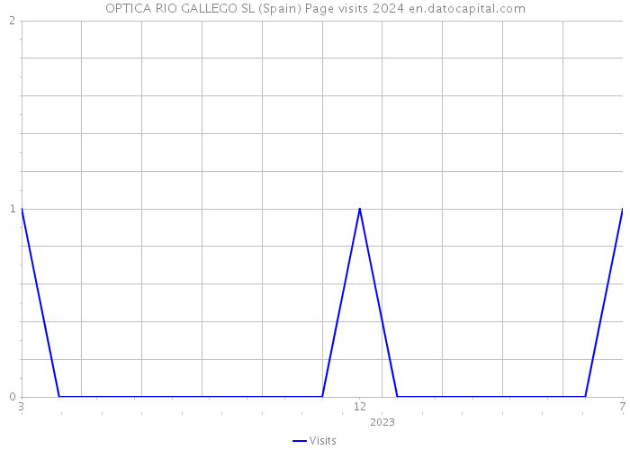 OPTICA RIO GALLEGO SL (Spain) Page visits 2024 