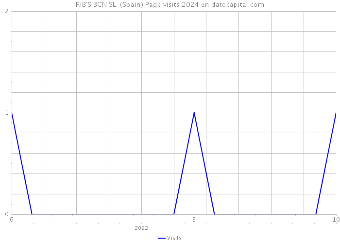RIB'S BCN SL. (Spain) Page visits 2024 