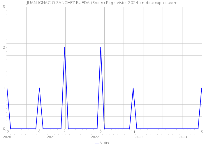 JUAN IGNACIO SANCHEZ RUEDA (Spain) Page visits 2024 