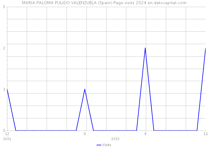 MARIA PALOMA PULIDO VALENZUELA (Spain) Page visits 2024 