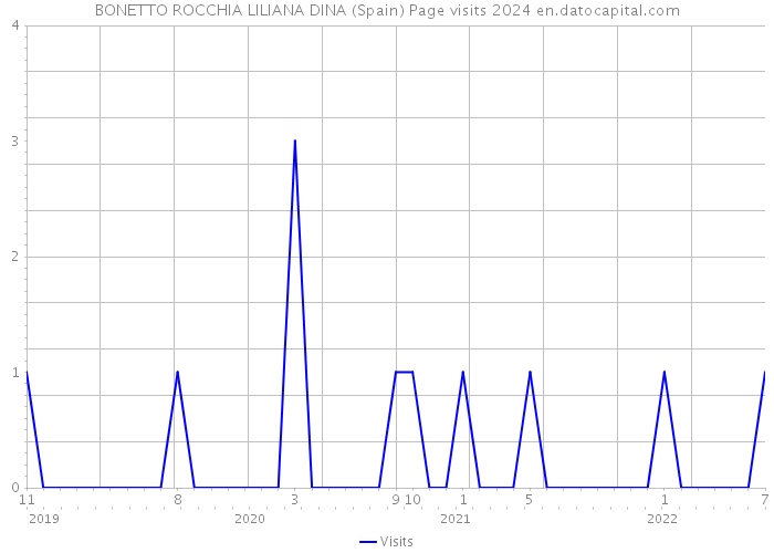 BONETTO ROCCHIA LILIANA DINA (Spain) Page visits 2024 