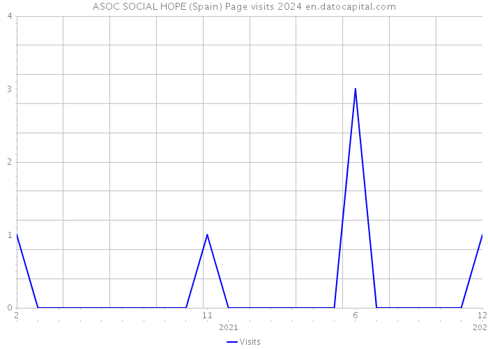 ASOC SOCIAL HOPE (Spain) Page visits 2024 