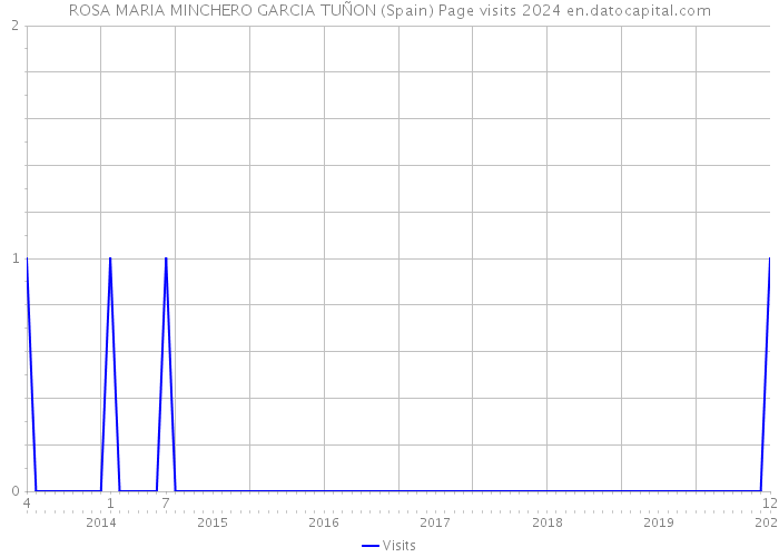 ROSA MARIA MINCHERO GARCIA TUÑON (Spain) Page visits 2024 