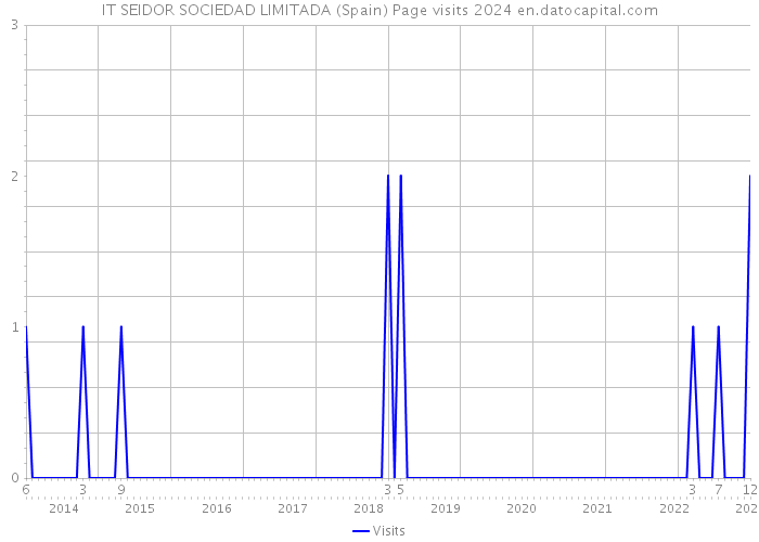 IT SEIDOR SOCIEDAD LIMITADA (Spain) Page visits 2024 