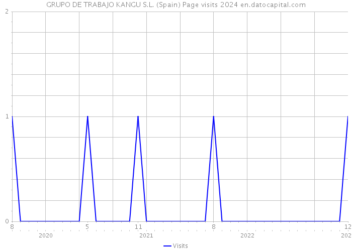 GRUPO DE TRABAJO KANGU S.L. (Spain) Page visits 2024 