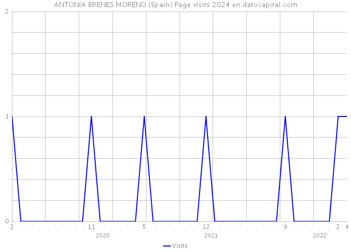 ANTONIA BRENES MORENO (Spain) Page visits 2024 