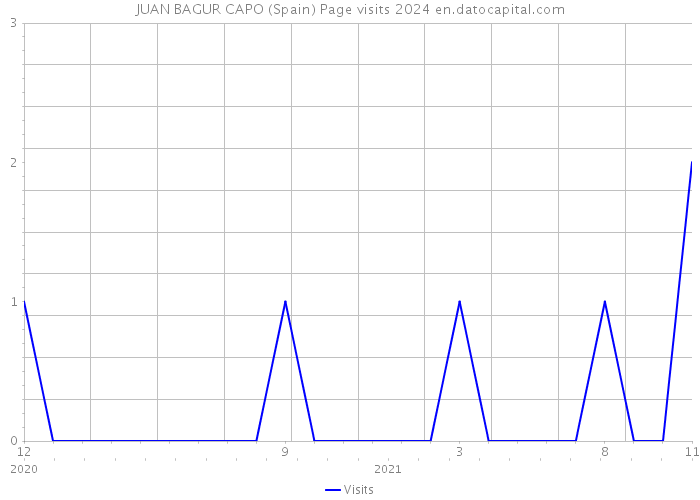 JUAN BAGUR CAPO (Spain) Page visits 2024 
