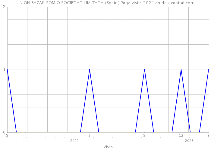UNION BAZAR SOMIO SOCIEDAD LIMITADA (Spain) Page visits 2024 