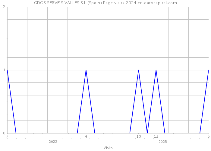 GDOS SERVEIS VALLES S.L (Spain) Page visits 2024 