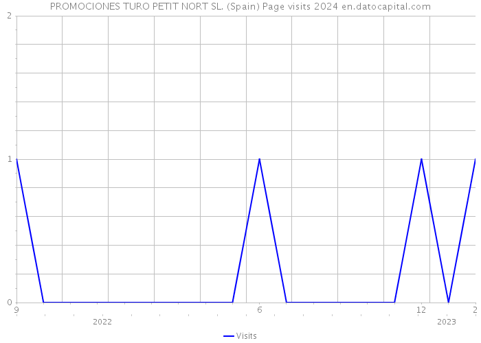 PROMOCIONES TURO PETIT NORT SL. (Spain) Page visits 2024 