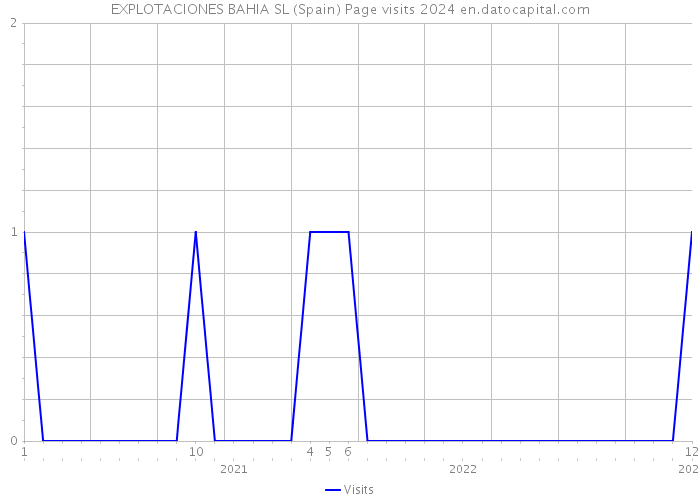 EXPLOTACIONES BAHIA SL (Spain) Page visits 2024 
