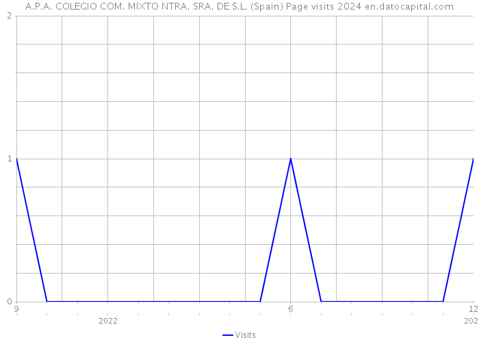 A.P.A. COLEGIO COM. MIXTO NTRA. SRA. DE S.L. (Spain) Page visits 2024 