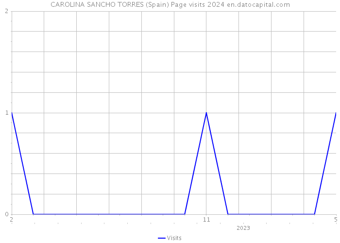 CAROLINA SANCHO TORRES (Spain) Page visits 2024 