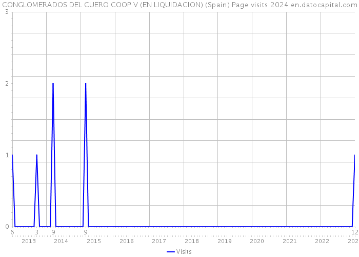 CONGLOMERADOS DEL CUERO COOP V (EN LIQUIDACION) (Spain) Page visits 2024 