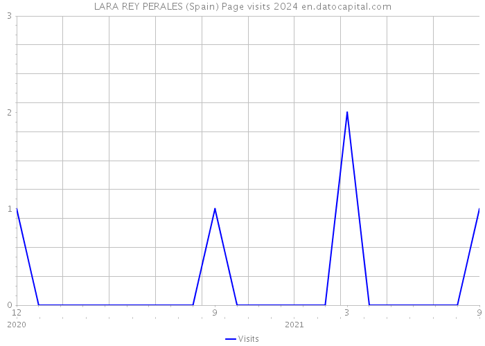 LARA REY PERALES (Spain) Page visits 2024 