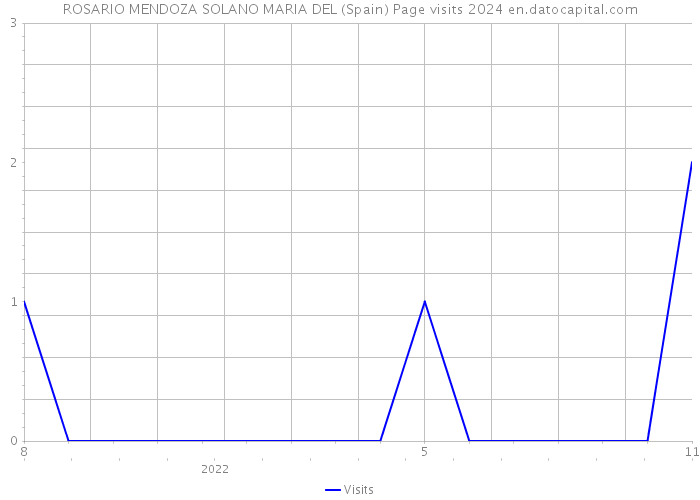 ROSARIO MENDOZA SOLANO MARIA DEL (Spain) Page visits 2024 