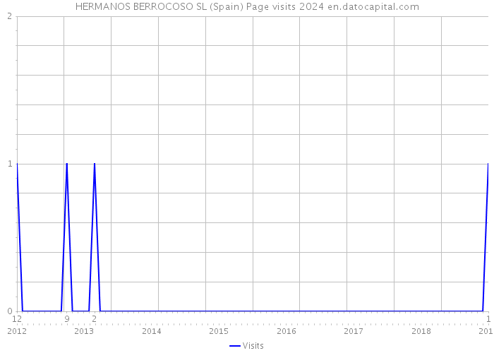 HERMANOS BERROCOSO SL (Spain) Page visits 2024 