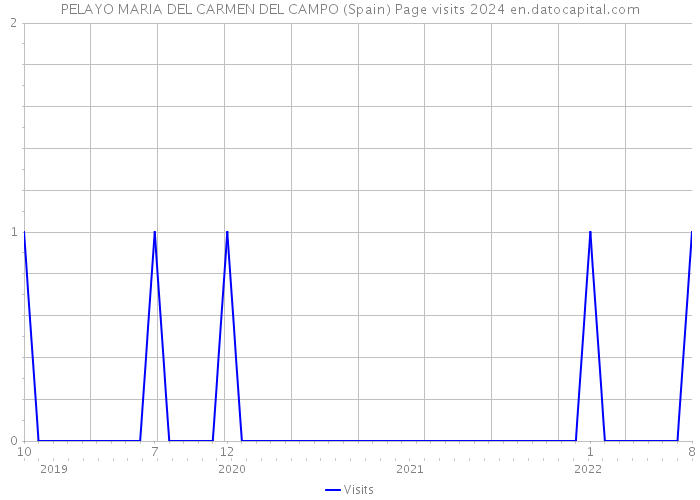 PELAYO MARIA DEL CARMEN DEL CAMPO (Spain) Page visits 2024 