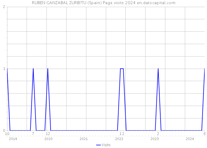 RUBEN GANZABAL ZURBITU (Spain) Page visits 2024 