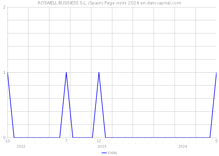 ROSWELL BUSINESS S.L. (Spain) Page visits 2024 