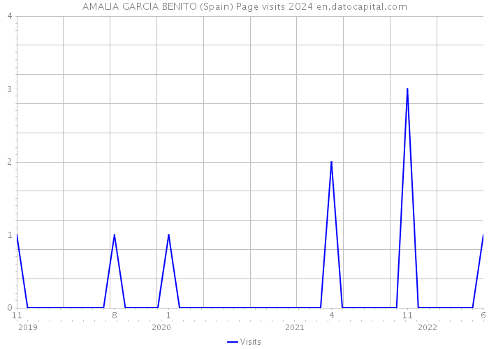 AMALIA GARCIA BENITO (Spain) Page visits 2024 