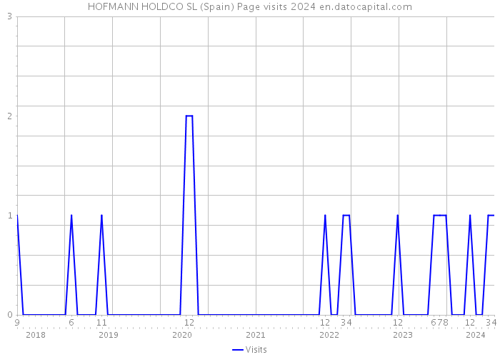 HOFMANN HOLDCO SL (Spain) Page visits 2024 