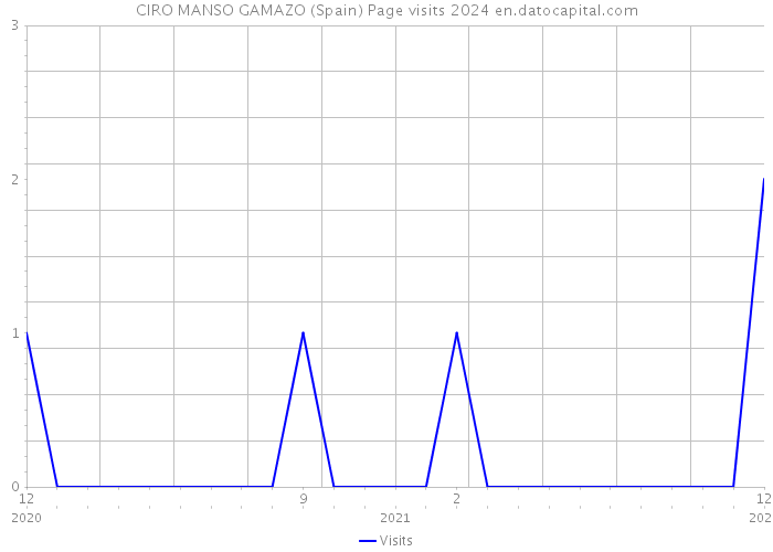 CIRO MANSO GAMAZO (Spain) Page visits 2024 