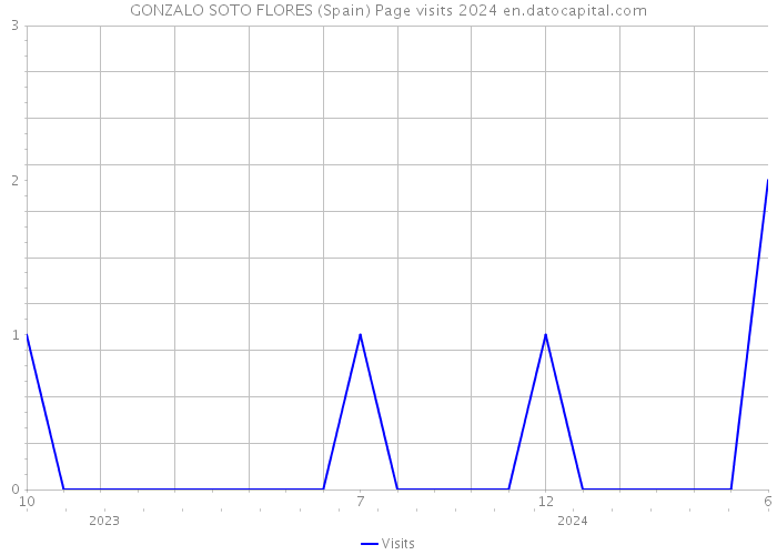 GONZALO SOTO FLORES (Spain) Page visits 2024 