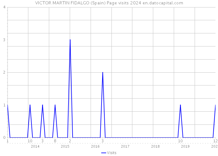 VICTOR MARTIN FIDALGO (Spain) Page visits 2024 