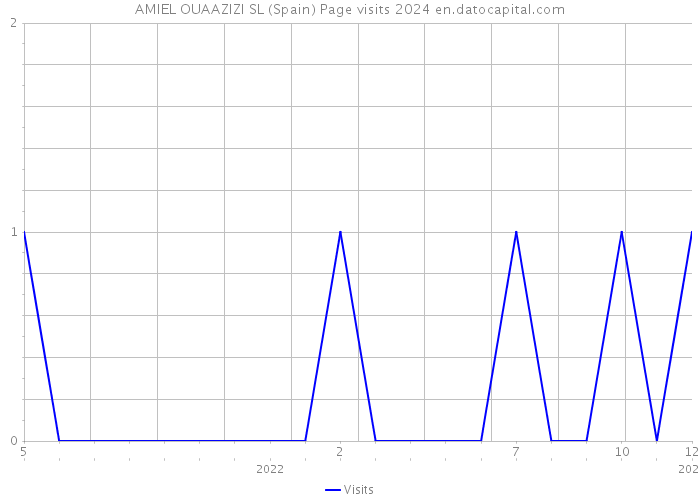 AMIEL OUAAZIZI SL (Spain) Page visits 2024 