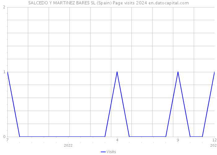 SALCEDO Y MARTINEZ BARES SL (Spain) Page visits 2024 