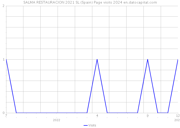 SALMA RESTAURACION 2021 SL (Spain) Page visits 2024 
