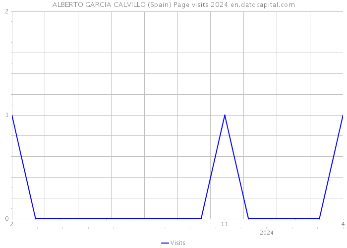 ALBERTO GARCIA CALVILLO (Spain) Page visits 2024 